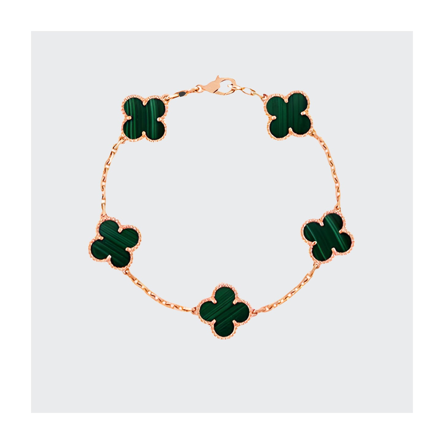 Clover Armband Farbig